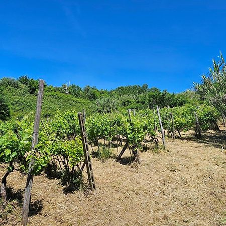 Poderi Lenzi Villa Lucca Dış mekan fotoğraf