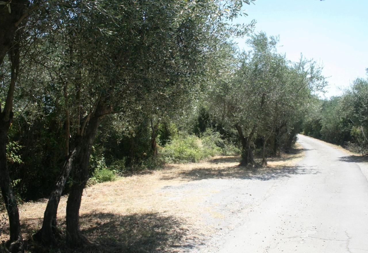 Poderi Lenzi Villa Lucca Dış mekan fotoğraf