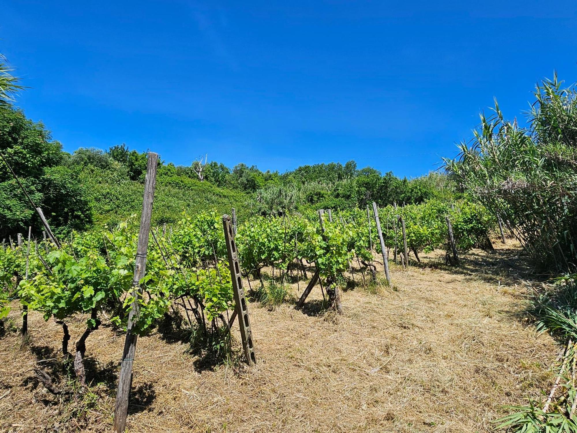Poderi Lenzi Villa Lucca Dış mekan fotoğraf